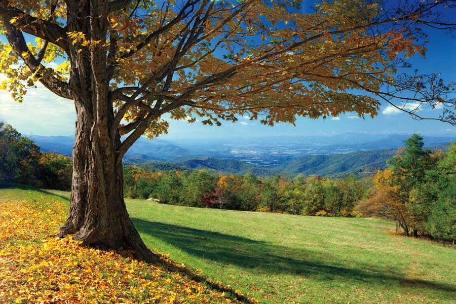 Blue Ridge Beauty by artist Mike Jones
