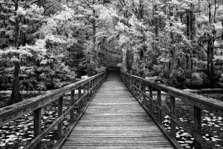 A Walk Into Tranquility by artist Mike Jones