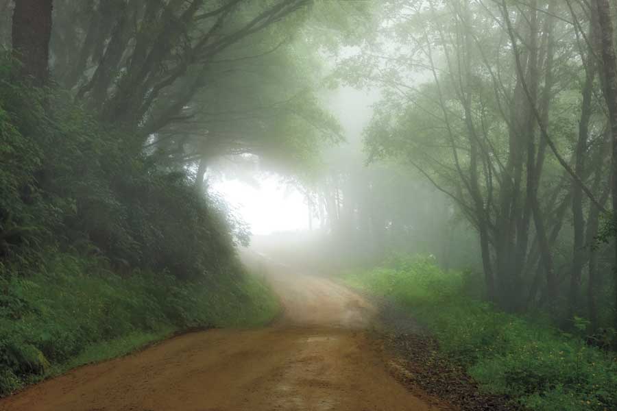 Road to Nowhere by artist Mike Jones