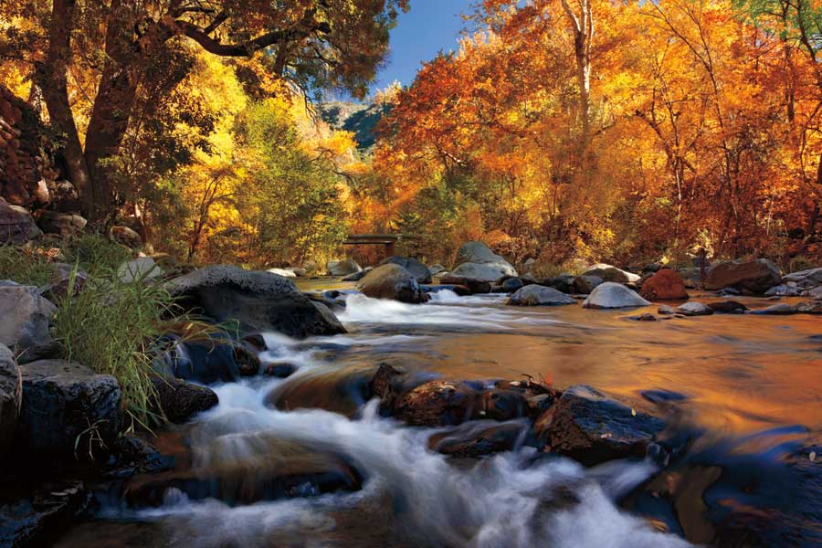 River of Gold by artist  Mike Jones