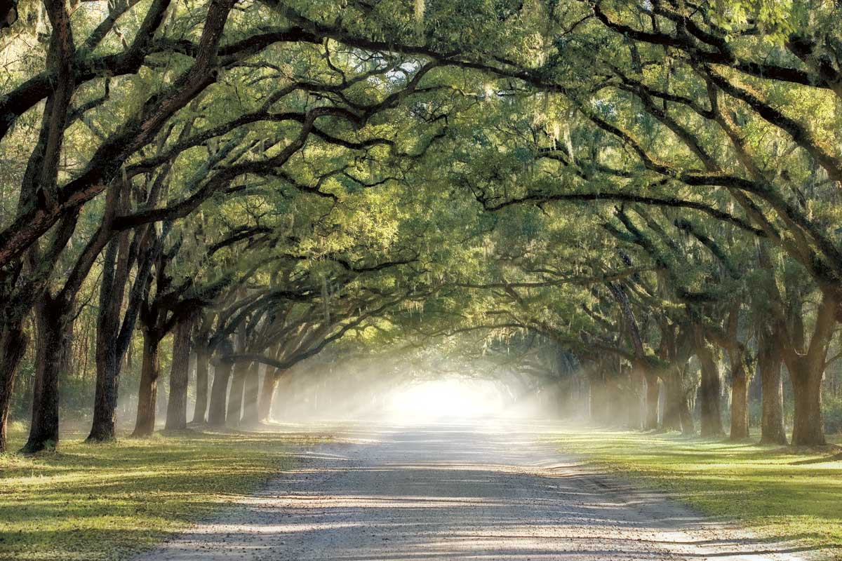 Hope & Glory by artist  Mike Jones