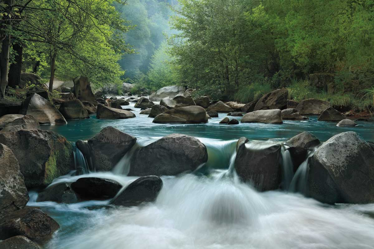 Secret Passage by artist  Mike Jones