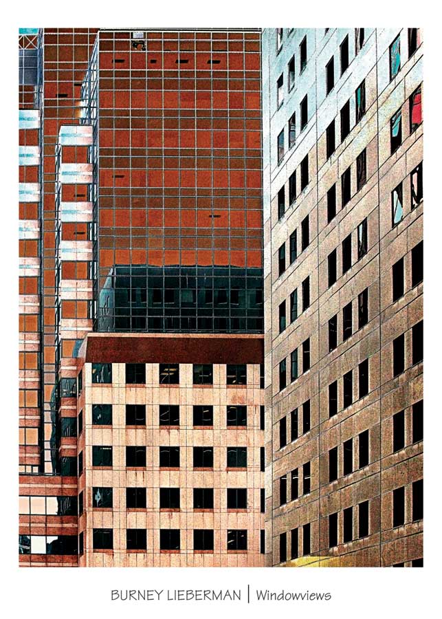 Windowviews by artist Burney Lieberman 