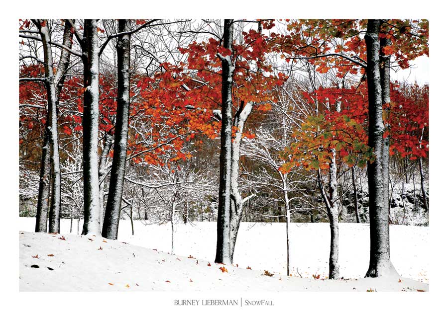 Snowfall by artist Burney Lieberman 