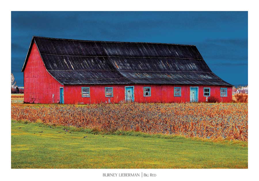 Big Red by artist Burney Lieberman