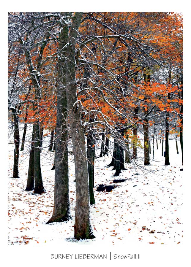 Snowfall II by artist Burney Lieberman
