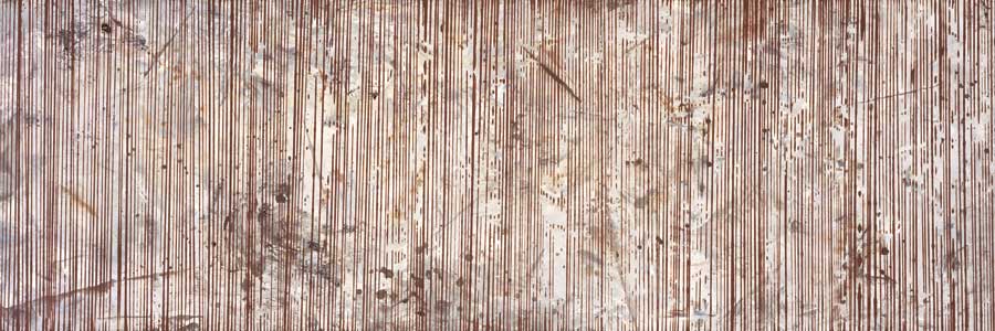 Growth Lines by artist  Isabel Lawrence