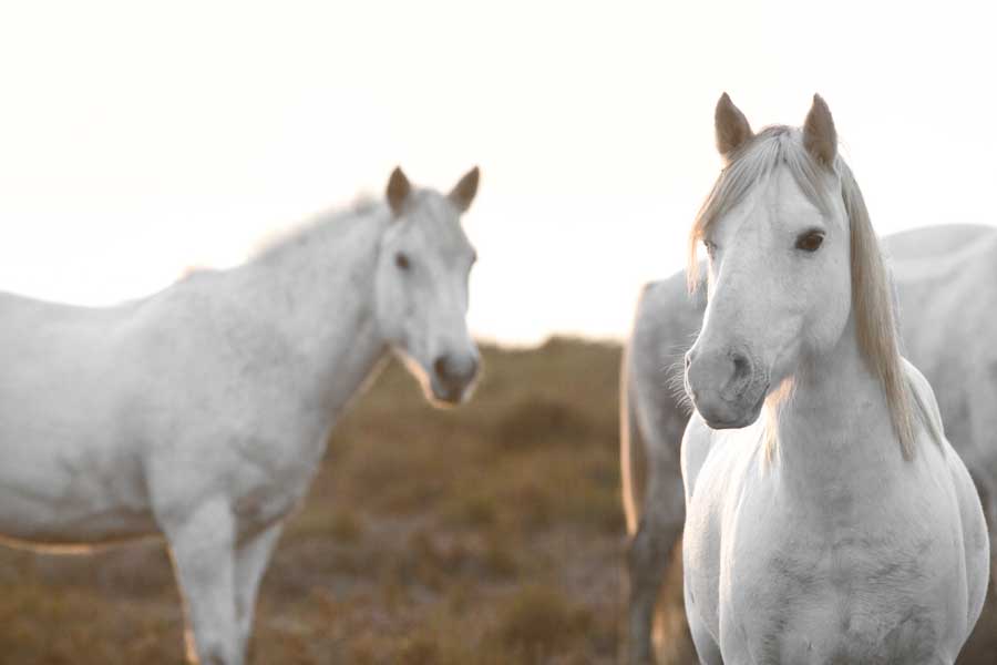 Haven' t Met You Yet by artist Jorge Llovet