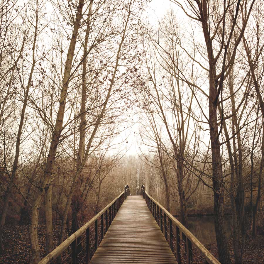 Right Here by artist Jorge Llovet