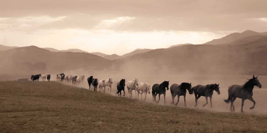 Moving Forward by artist Jorge Llovet