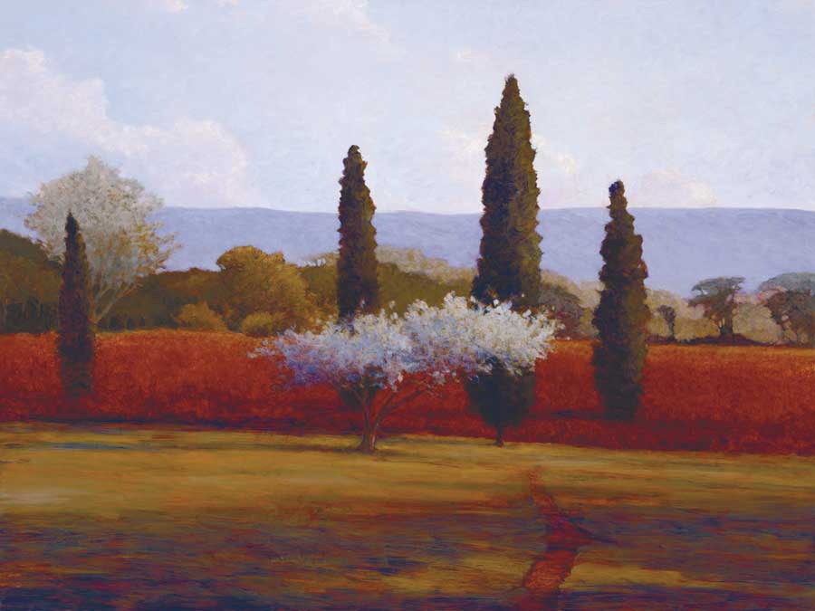 St. Saturnin Olives by artist  Kent Lovelace