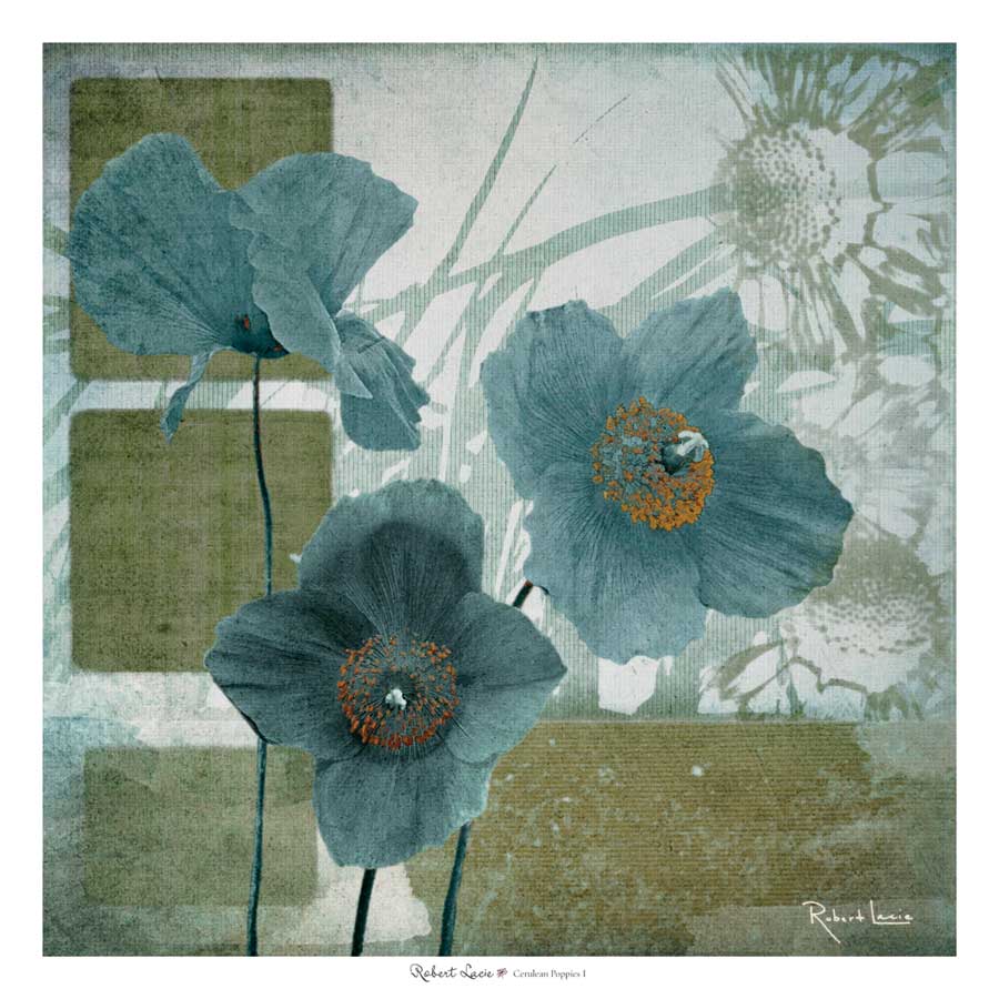 Cerulean Poppies I by artist Robert Lacie 