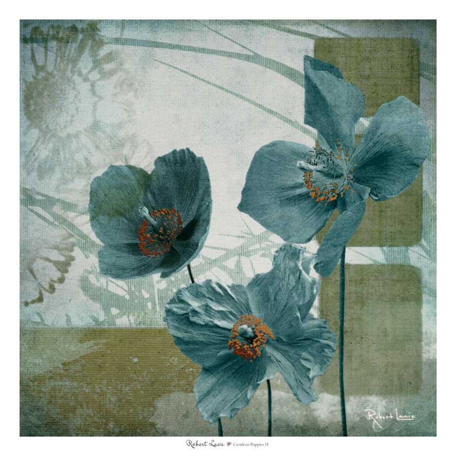 Cerulean Poppies II by artist Robert Lacie 