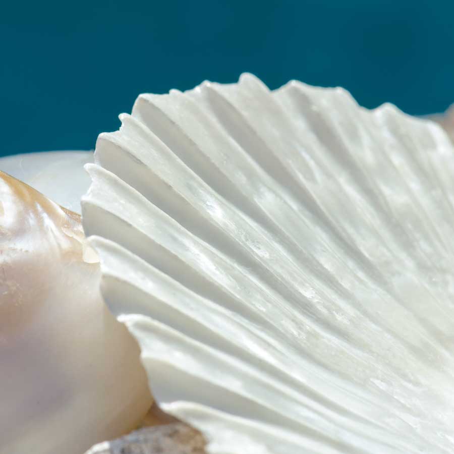 Fantastic by artist  Dina Marie