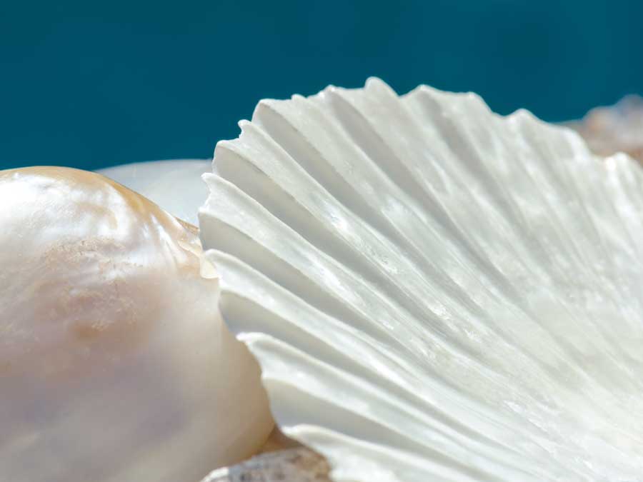 Fantastic by artist  Dina Marie