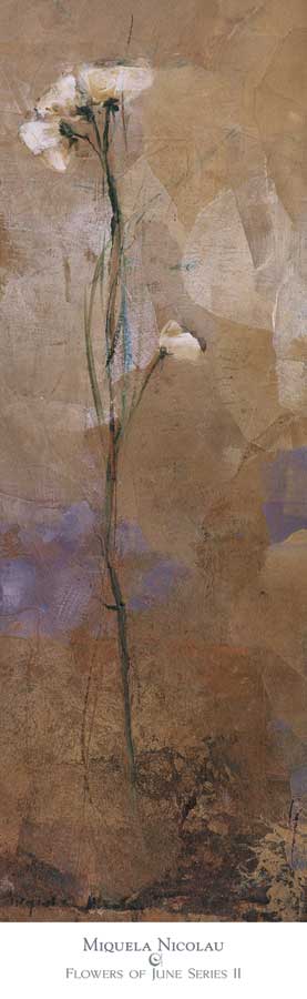 Flowers of June Series II by artist  Miquela Nicolau