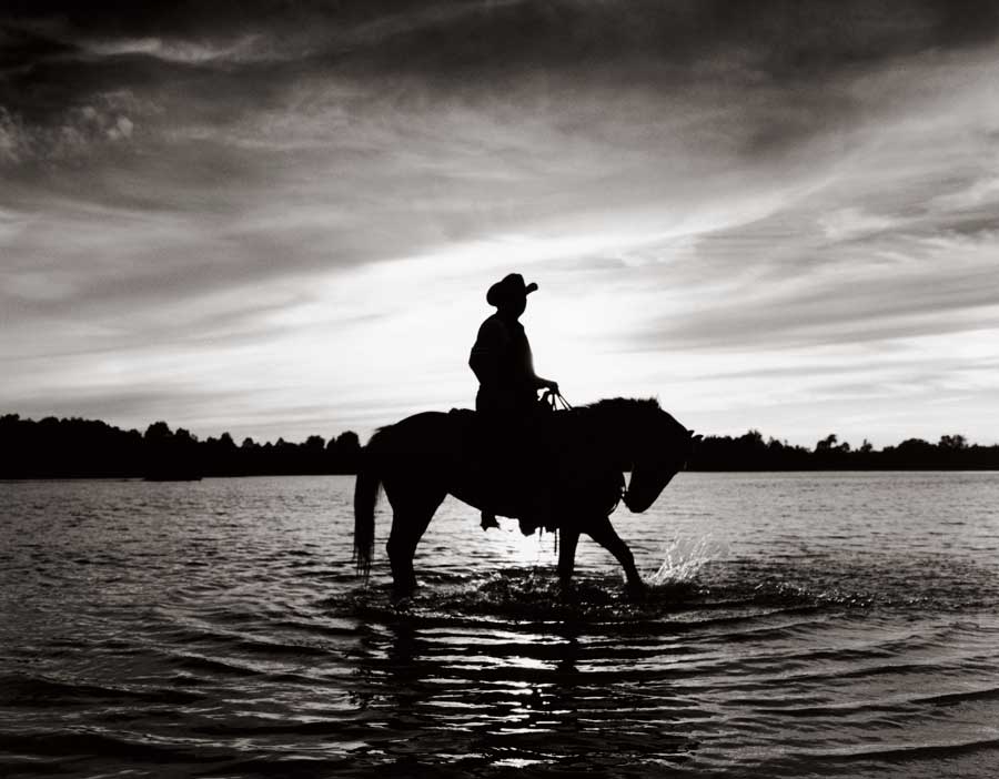 Silhouettes at Sunset by artist  Monte  Nagler