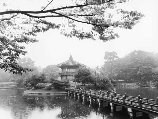 Lotus Pavillion II by artist  Monte Nagler