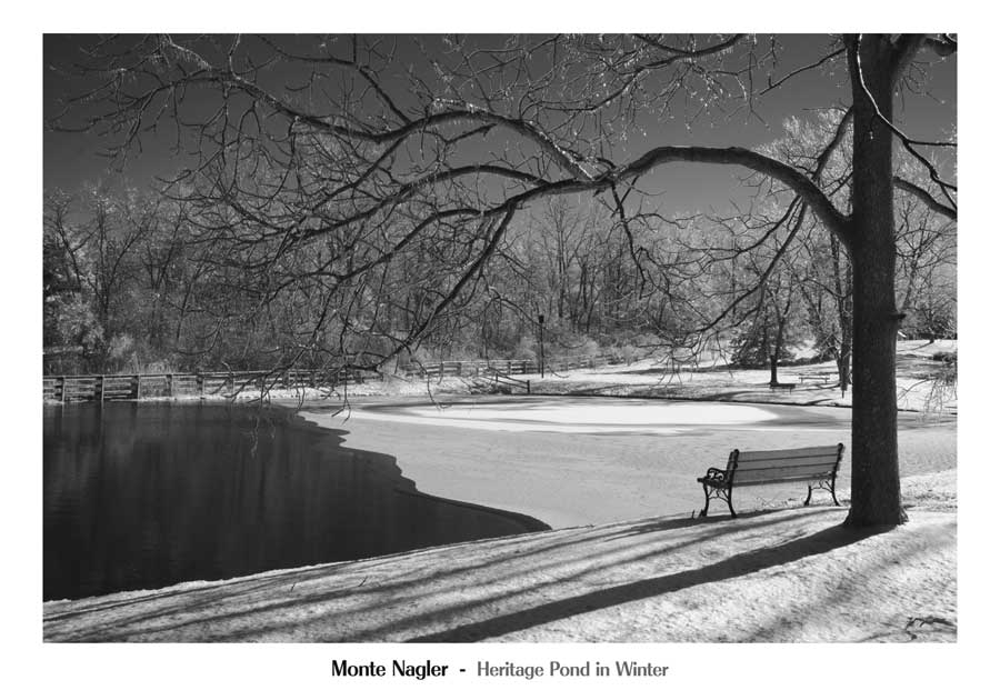 Heritage Pond in Winter by artist  Monte Nagler
