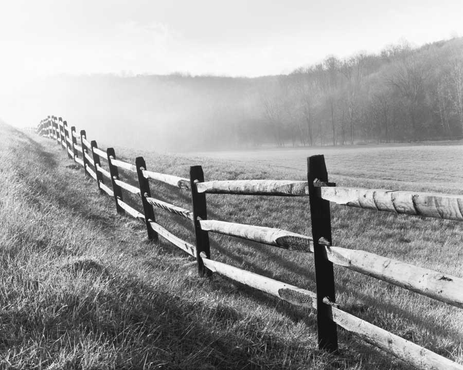 Vanishing Fence by artist  Monte Nagler