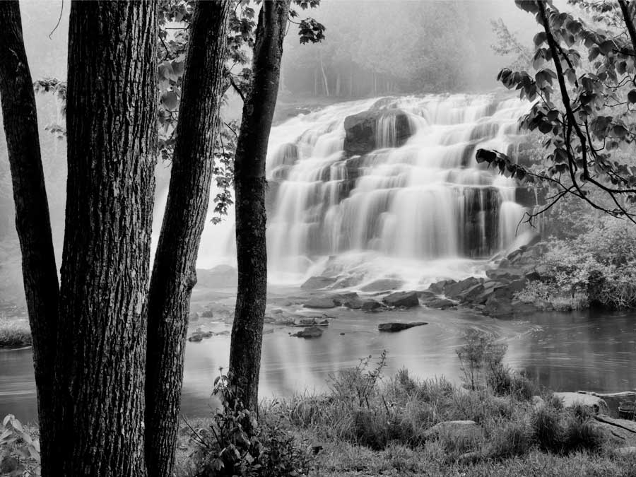 Bond Falls & Trees by artist Monte Nagler