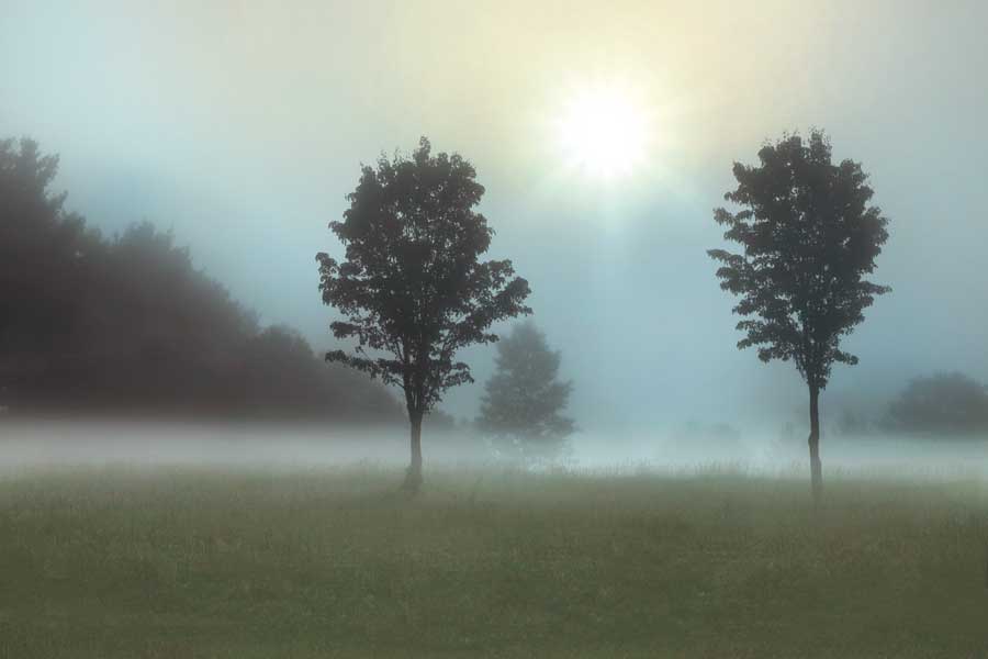 Sunburst by artist Monte Nagler