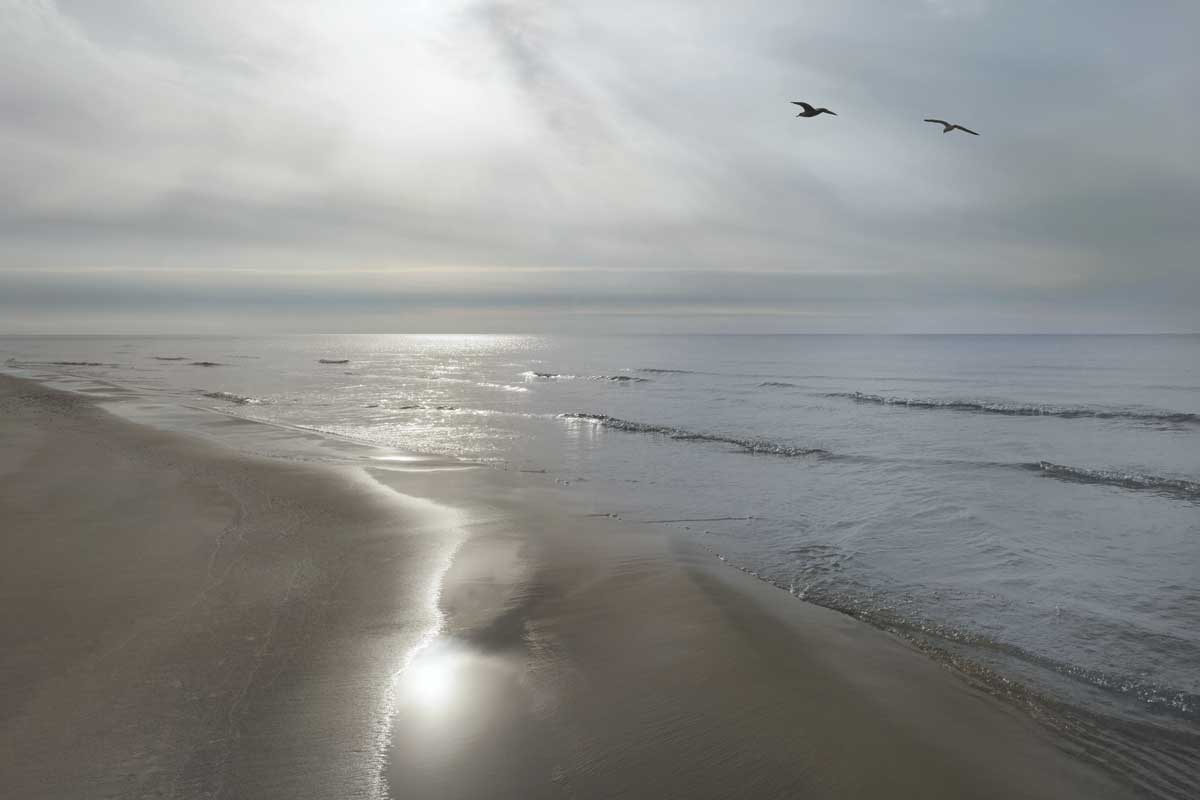 Beach Flight by artist  Monte Nagler