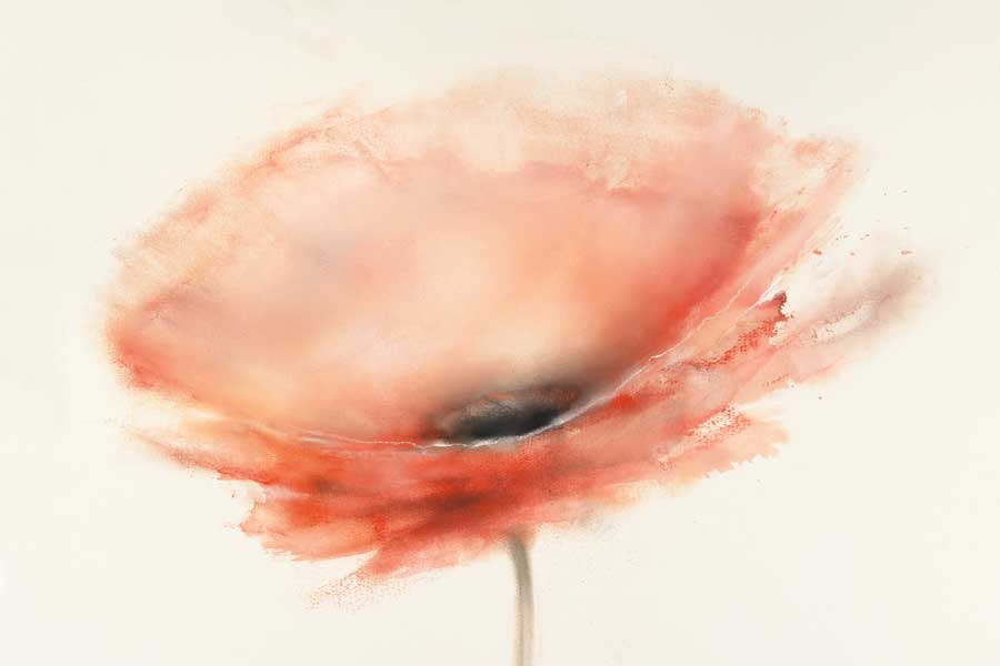 Chiffon Poppy by artist J.P. Prior