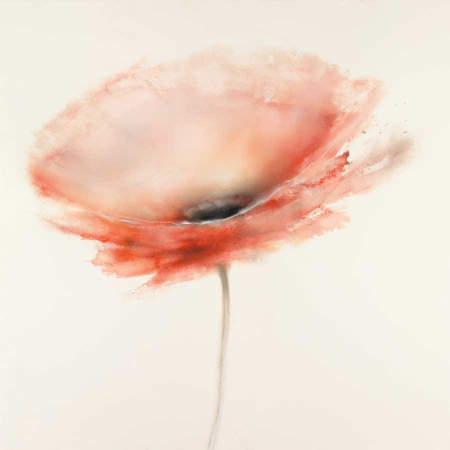 Pink Chiffon I by artist  J.P. Prior
