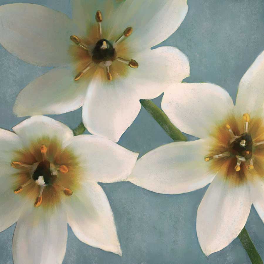 Lily Parfait I by artist Janel  Pahl