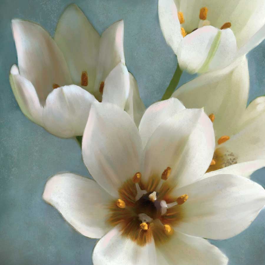Lily Parfait II by artist Janel  Pahl