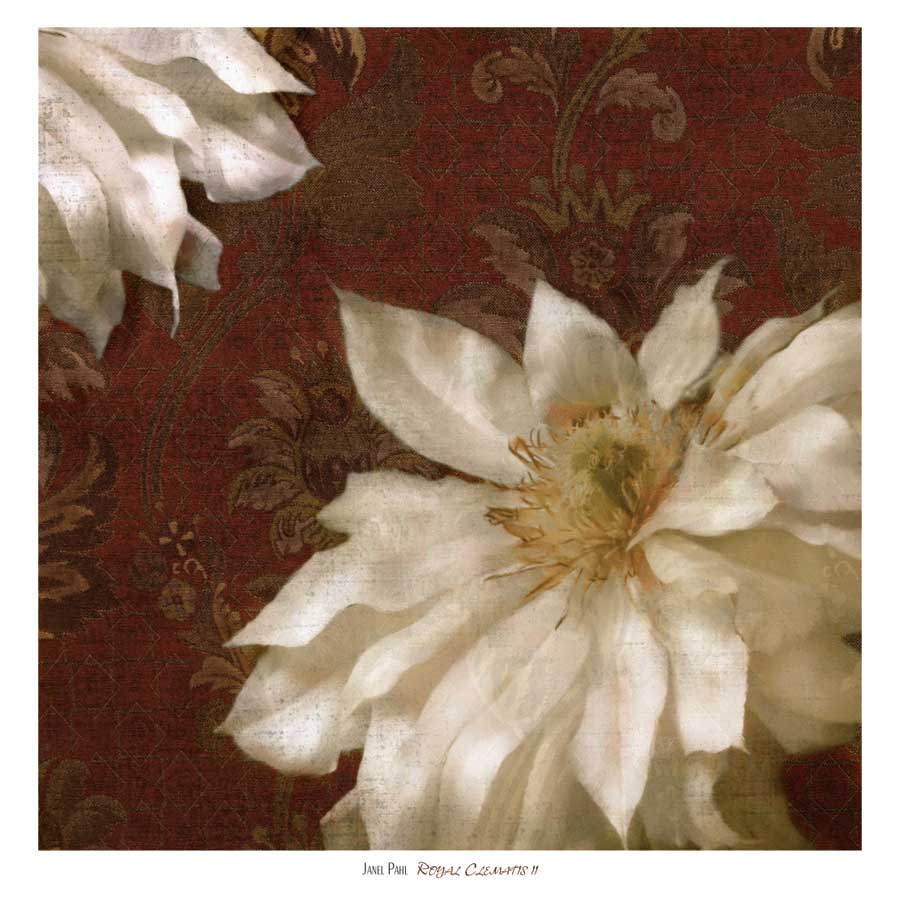 Royal Clematis II by artist Janel Pahl