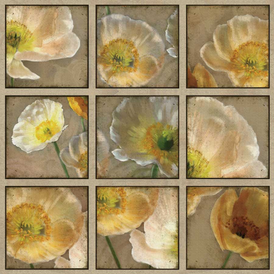 Shades of Poppies by artist Janel Pahl