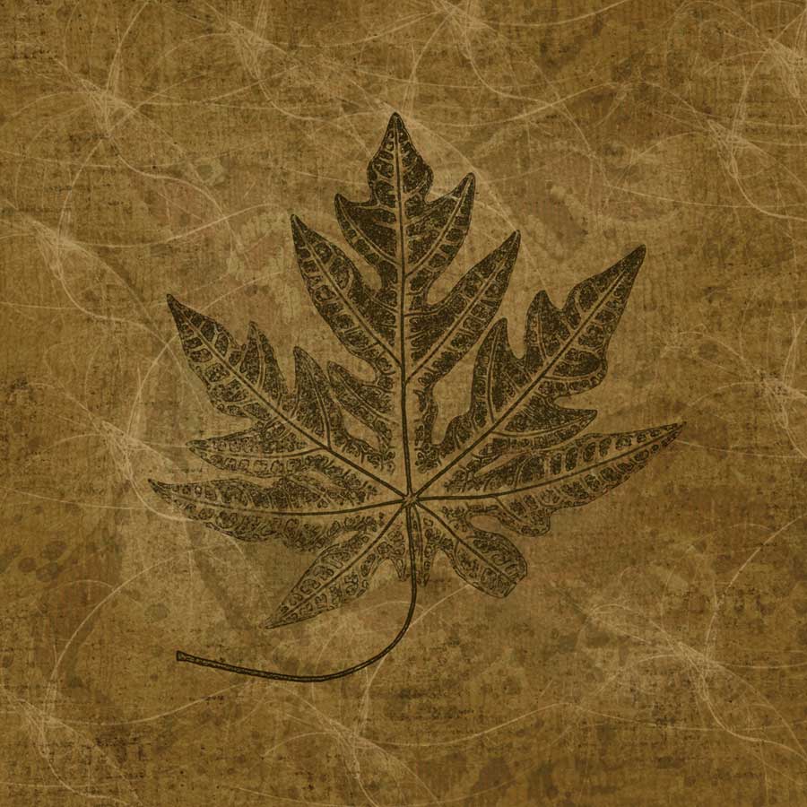 Leaves of Summer by artist Janel Pahl