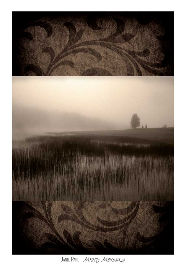 Misty Morning by artist Janel Pahl