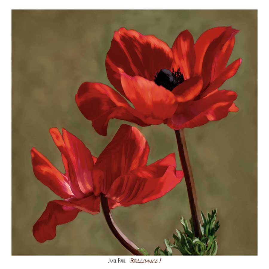 Brilliance I by artist Janel Pahl