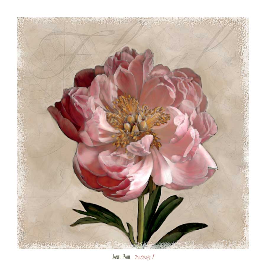Peony I by artist Janel Pahl