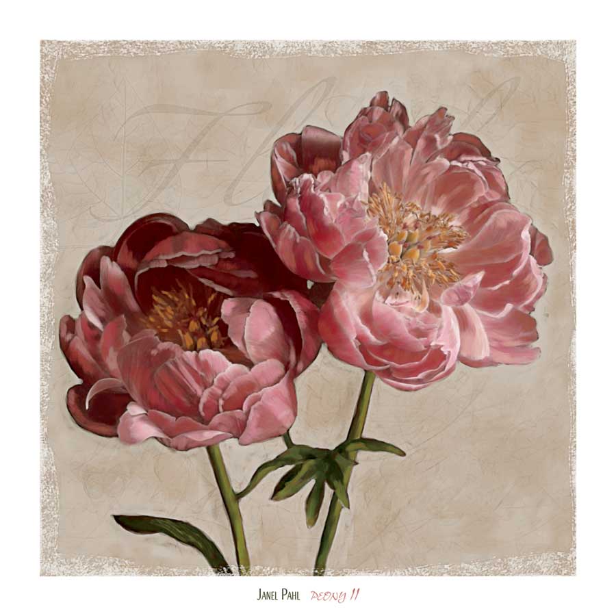 Peony II by artist Janel Pahl