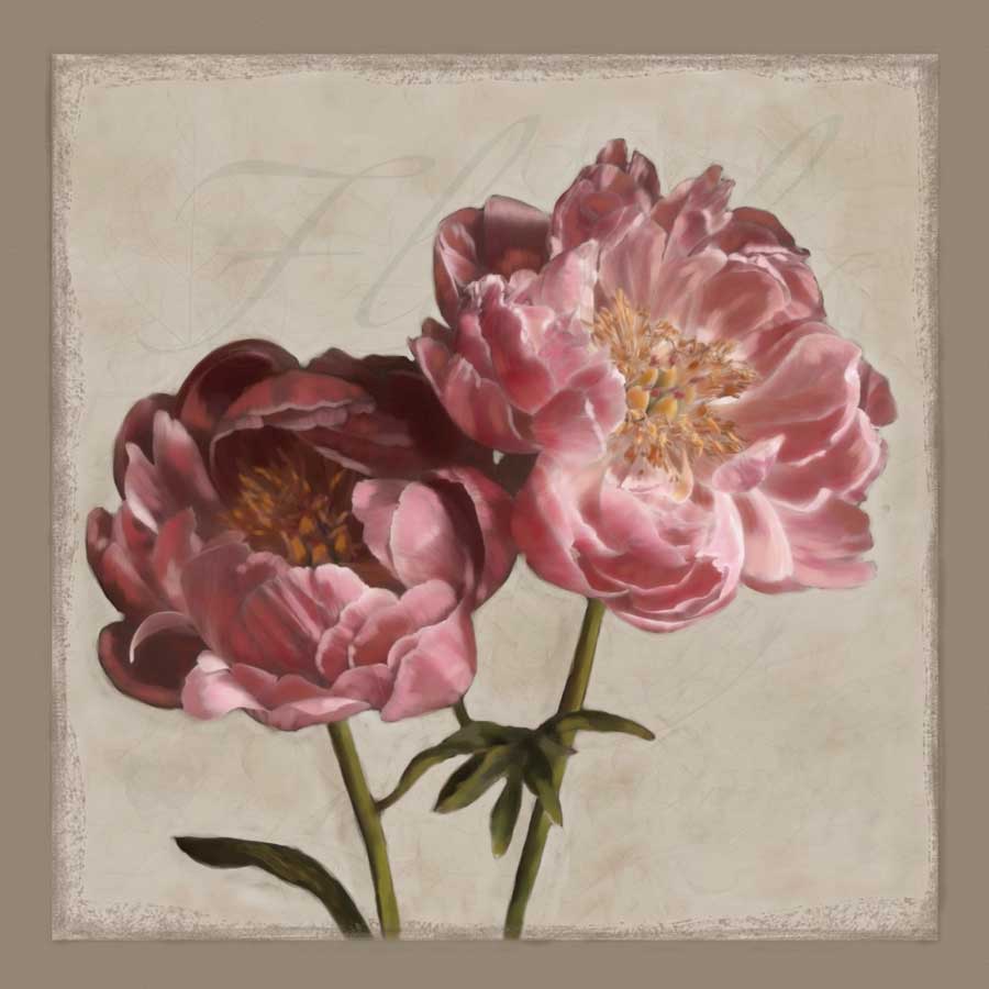 Botanical Peony by artist Janel Pahl