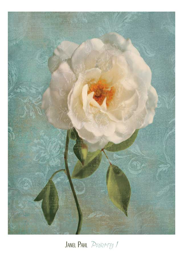 Purity I by artist Janel Pahl