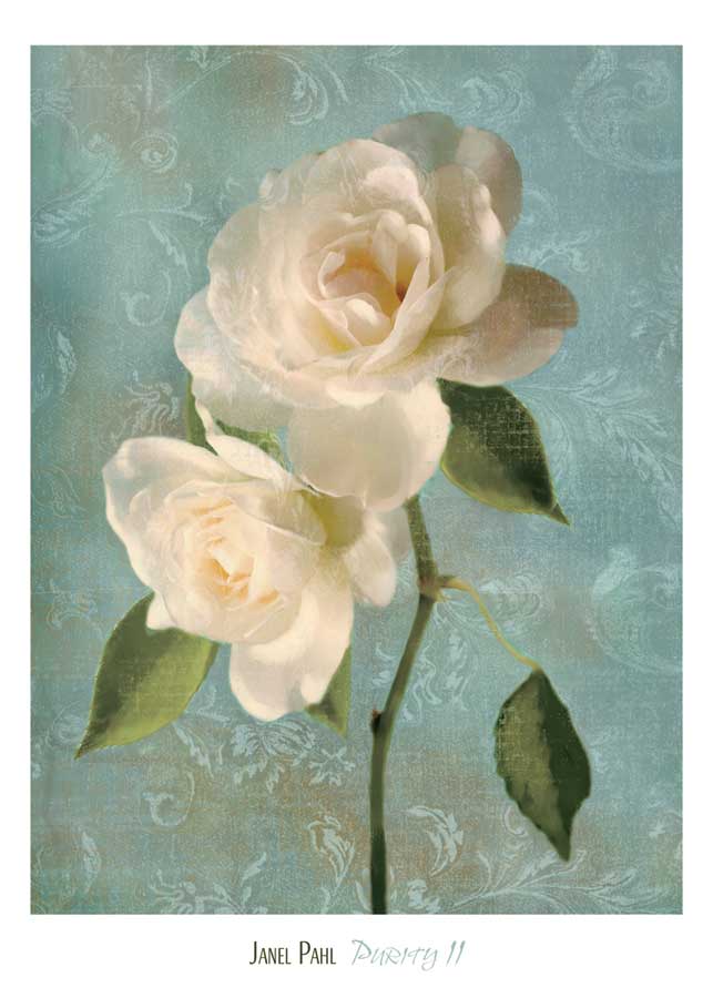Purity II by artist Janel Pahl