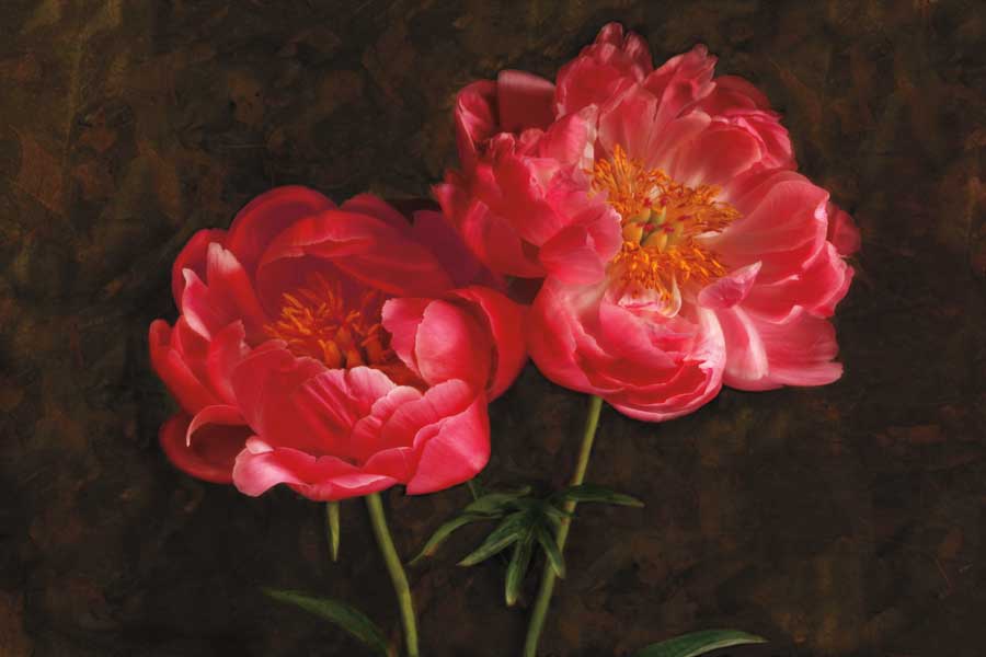 Romance by artist Janel Pahl