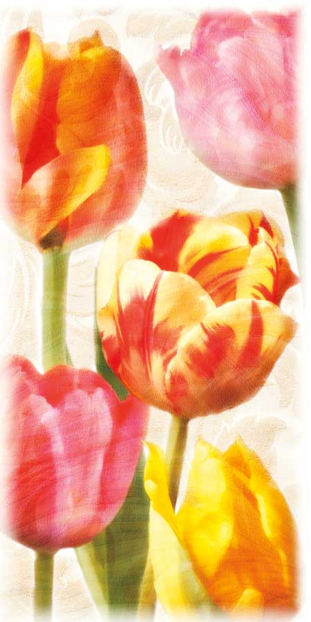 Glowing Tulips II by artist Janel Pahl