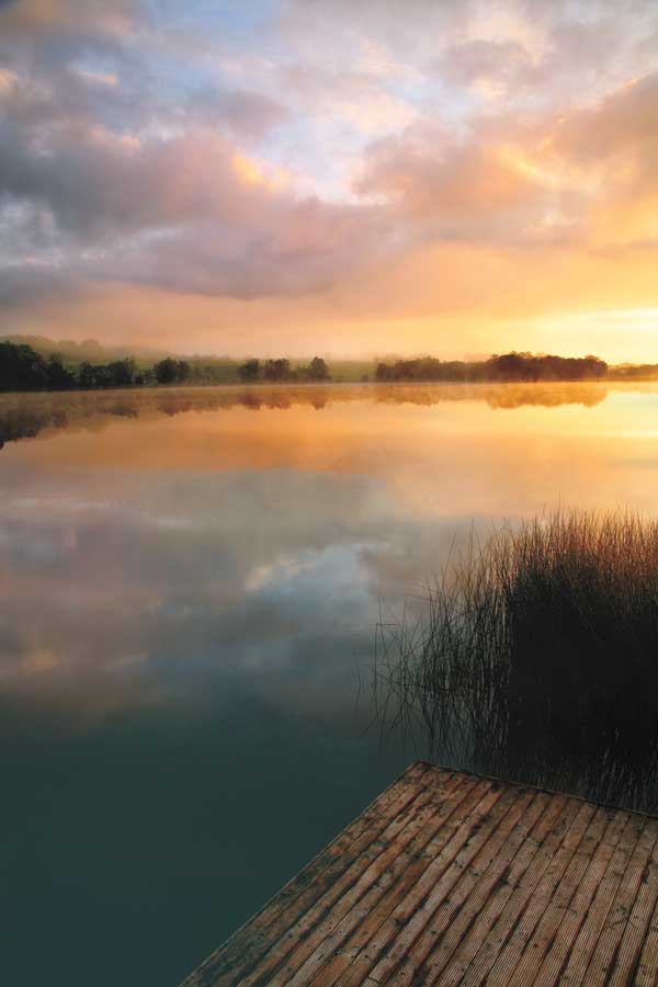 Irish Dawn by artist Janel Pahl