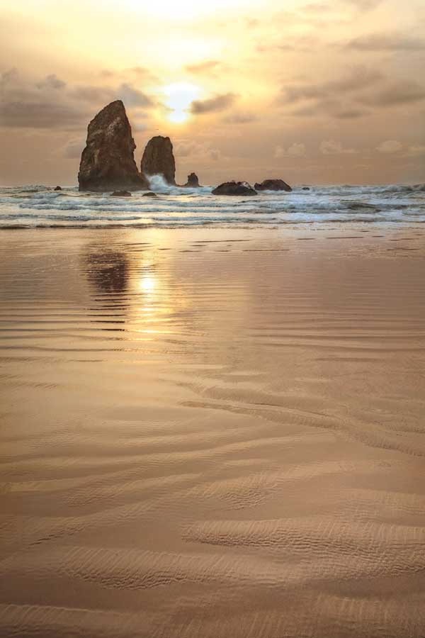 Sunset Silhouette by artist Janel Pahl