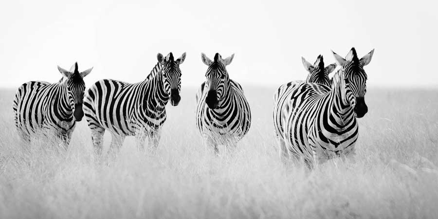 Meeting Place by artist Nina Papiorek