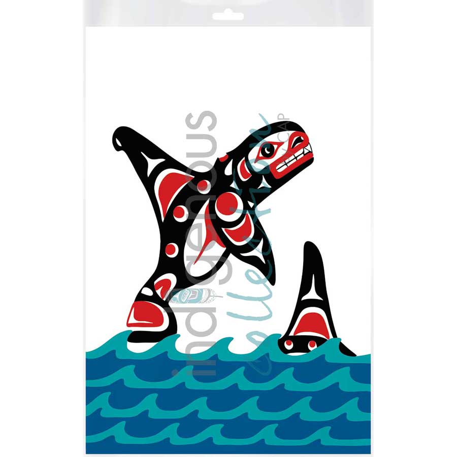 Killerwhale by artist John A. Sharkey - Coast Salish. Indigenous Collection