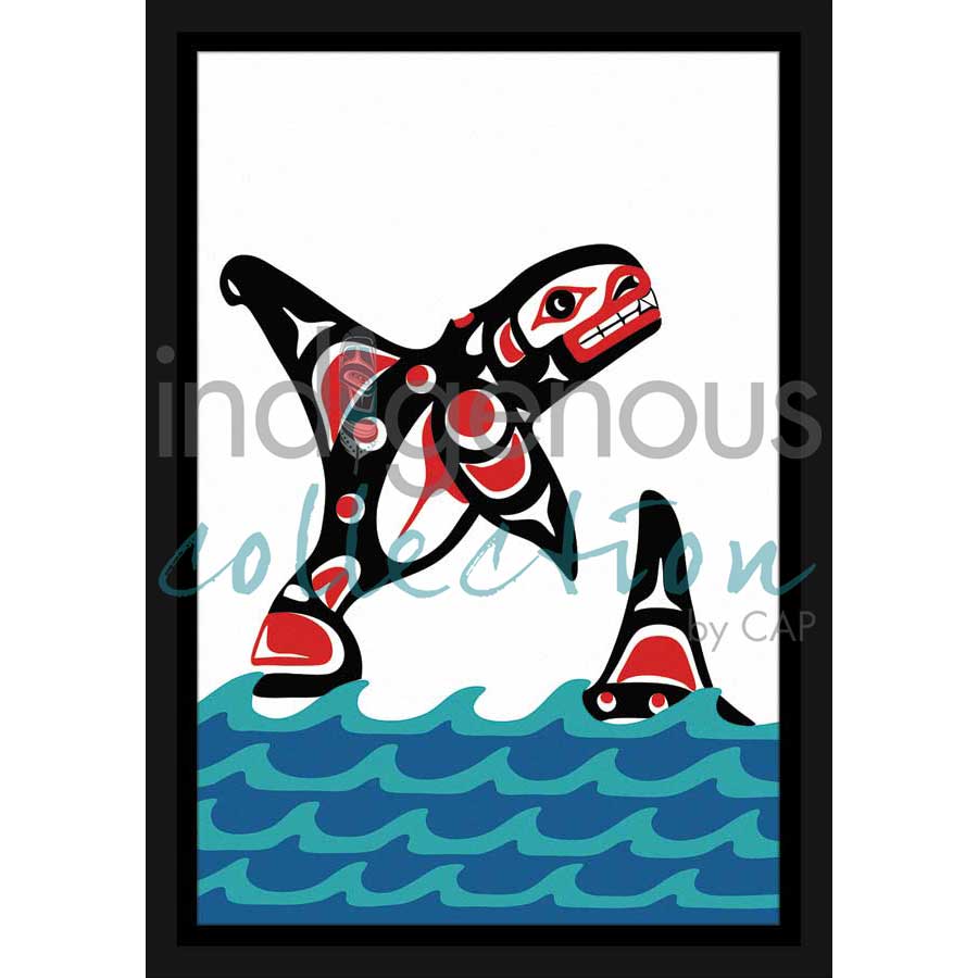 Killerwhale by artist John A. Sharkey - Coast Salish. Indigenous Collection
