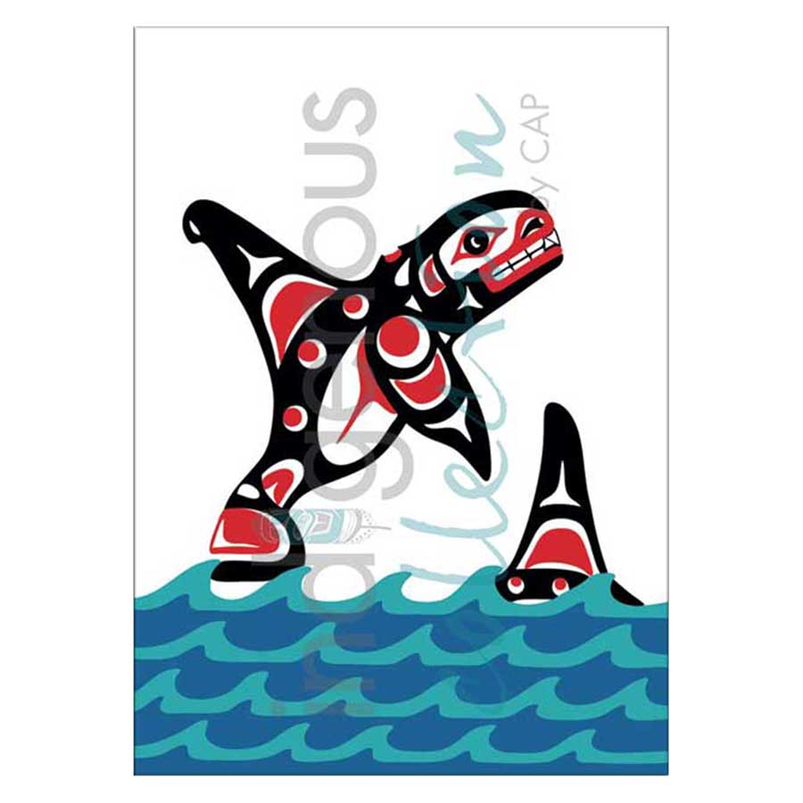 Killerwhale Canvas Prints