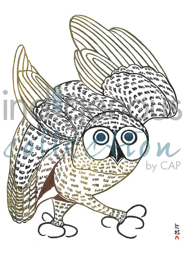Summer Owl by artist Kananginak Pootoogook